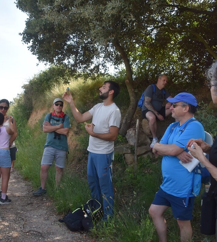 Naturaleza, arte y aceite: senderismo y convivencia en Bierge