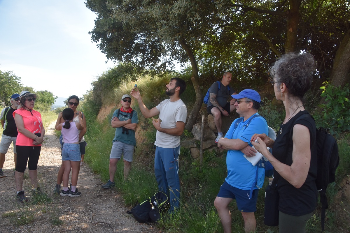Naturaleza, arte y aceite: senderismo y convivencia en Bierge